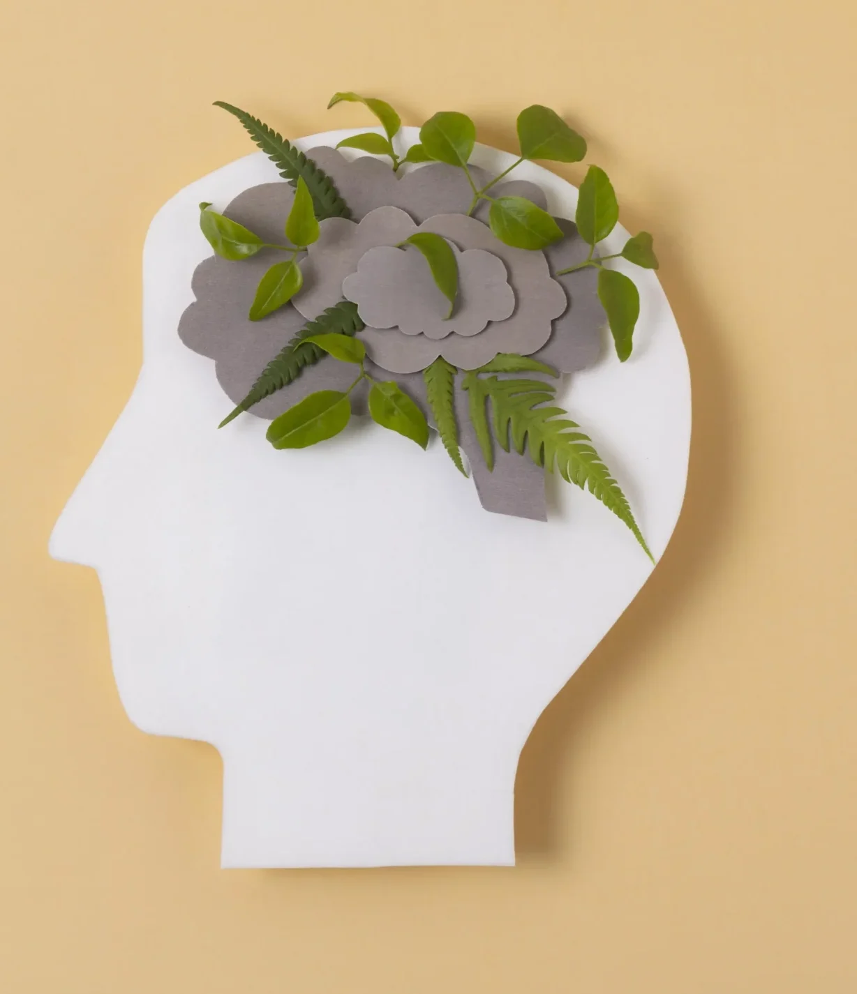 background psihologie scaled e1722592484267